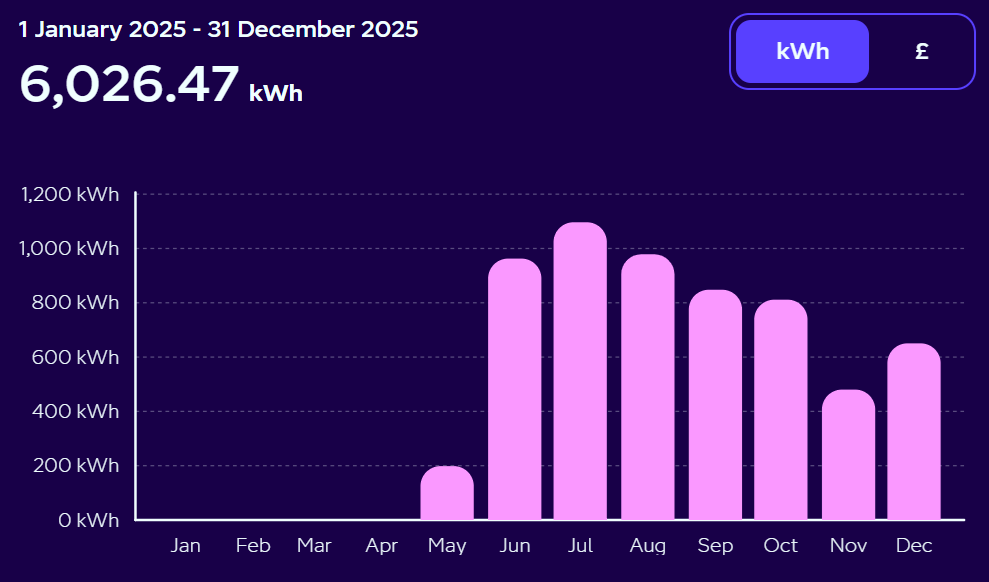 What a Year of Solar and Batteries Really Saved Us in 2025